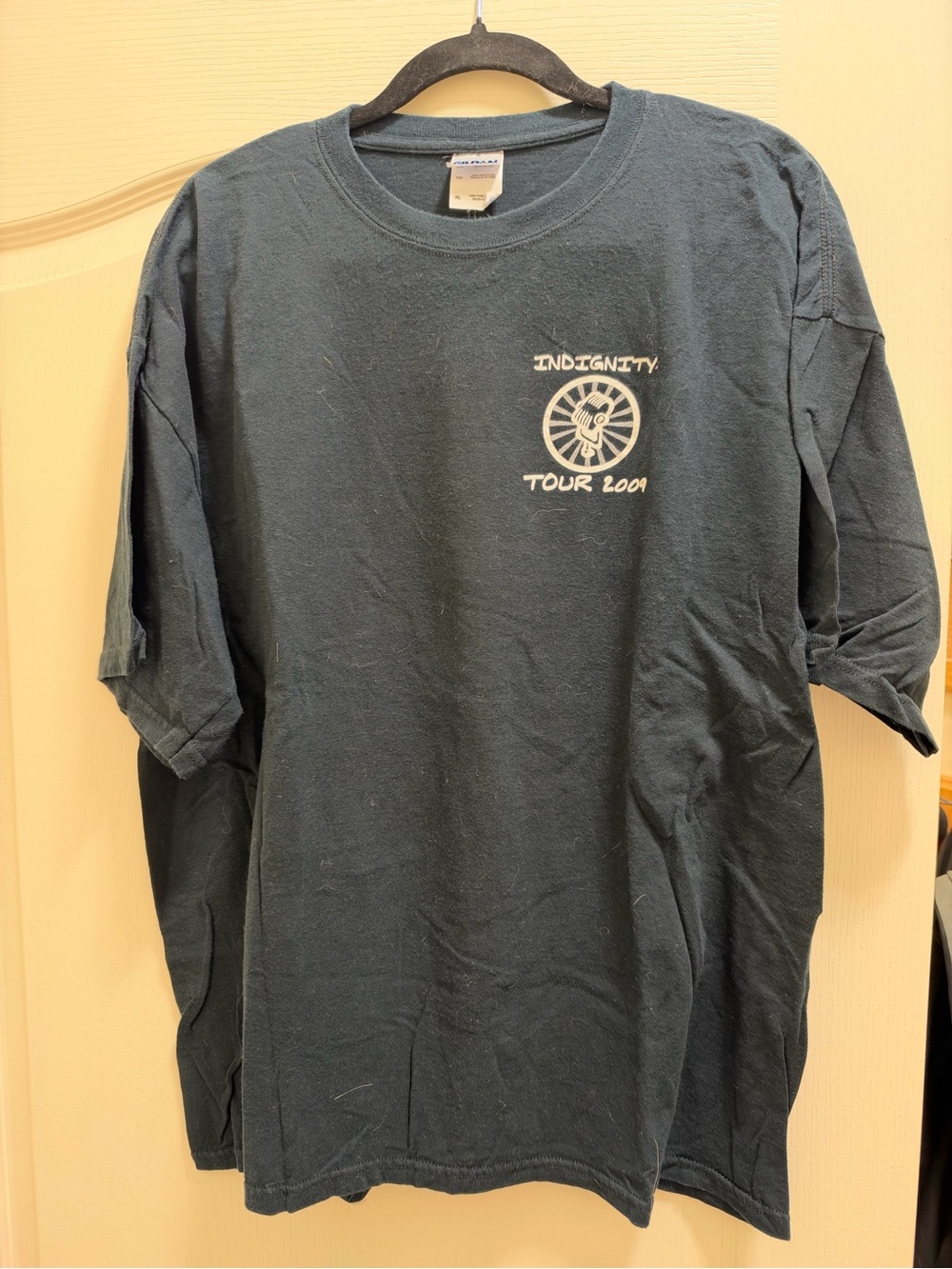 Vintage Indignity Tour 2009 Graphic Short Sleeve Tee - Dark Green